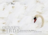 Enlarge image Cover: Oliver's Birds - ACC Art Books