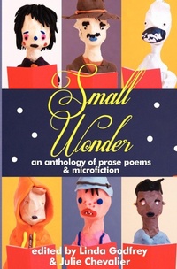 Enlarge image Cover: Small Wonder - Spineless Wonders