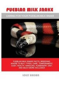Abbildung von: Pueblan Milk Snake - Pack & Post Plus, LLC