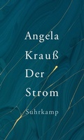 Cover: Der Strom - Suhrkamp