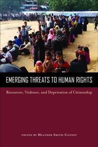 Enlarge image Cover: Emerging Threats to Human Rights - Temple University Press,U.S.