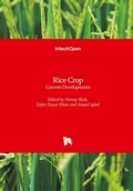 Cover: Rice Crop - IntechOpen