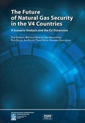 Cover: The Future of Natural Gas Security in the V4 Countries 2011 - Masarykova univerzita