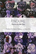 Cover: Endure - Black Widow Press
