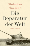 Cover: Die Reparatur der Welt - Zsolnay