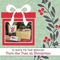 Cover: Trim the Tree at Christmas - Christine J Berg