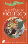 Cover: Un misterioso vichingo - Libri corsari. Piccole storie fuori rotta;Solferino