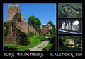 Cover: Burg Wildenberg - Waldkirch Verlag