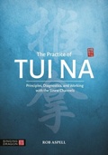 Cover: The Practice of Tui Na - Singing Dragon