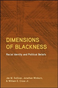 Enlarge image Cover: Dimensions of Blackness - De Gruyter