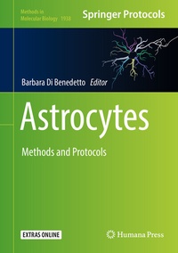 Abbildung von: Astrocytes - Humana