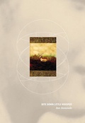 Cover: Bite Down Little Whisper - Brick Books