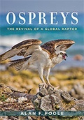 Cover: Ospreys - Johns Hopkins University Press