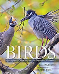 Abbildung von: Birds of Maryland, Delaware, and the District of Columbia - Johns Hopkins University Press