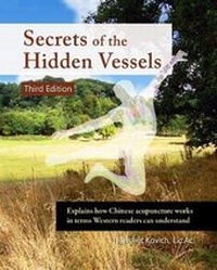 Abbildung von: Secrets of the Hidden Vessels - CuriousPages Publishing