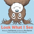 Cover: Look What I See - Little Simon