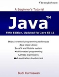 Cover: Java - Brainy Software