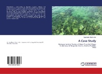 Abbildung von: A Case Study - LAP Lambert Academic Publishing
