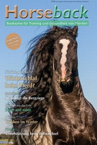 Abbildung von: Horseback III - Silver Horse Edition