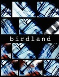 Cover: birdland - WILDWOOD RIVER