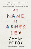 Cover: My Name Is Asher Lev - Vintage