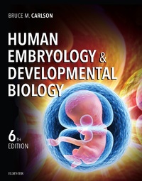 Bild: Human Embryology and Developmental Biology E-Book - Elsevier