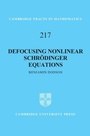 Cover: Defocusing Nonlinear Schroedinger Equations - Cambridge University Press