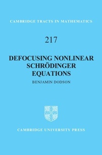 Enlarge image Cover: Defocusing Nonlinear Schroedinger Equations - Cambridge University Press
