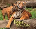 Cover: Tigers and Their Cubs - Raintree