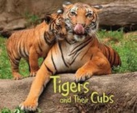 Enlarge image Cover: Tigers and Their Cubs - Raintree
