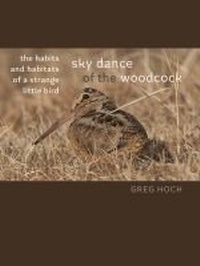 Abbildung von: Sky Dance of the Woodcock - University of Iowa Press