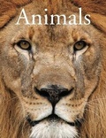 Cover: Encyclopedia of Animals - Amber Books