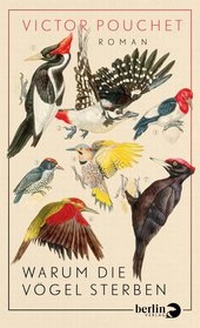 Abbildung von: Warum die Vögel sterben - Berlin Verlag