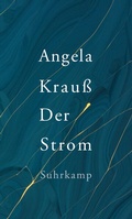 Cover: Der Strom - Suhrkamp