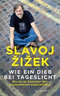 Cover: Wie ein Dieb bei Tageslicht - S. Fischer