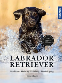 Abbildung von: Labrador Retriever - Kosmos