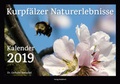 Cover: Kurpf&auml;lzer Naturerlebnisse - Waldkirch Verlag