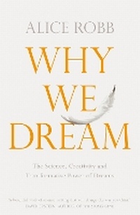 Enlarge image Cover: Why We Dream - Picador