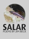 Cover: Salar - Brainflower