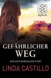 Abbildung von: Gefährlicher Weg - S. Fischer