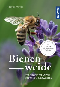 Abbildung von: Bienenweide - Kosmos