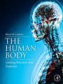 Cover: The Human Body - Academic Press