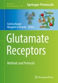 Bild: Glutamate Receptors - Humana