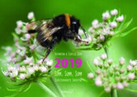 Enlarge image Cover: Summ, summ, summ - Zerr, Sibylle