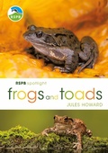 Cover: RSPB Spotlight Frogs and Toads - Bloomsbury Wildlife