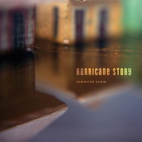 Enlarge image Cover: Hurricane Story - Broken Levee Books