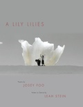 Cover: A Lily Lilies - Nightboat Books