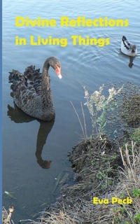 Enlarge image Cover: Divine Reflections in Living Things - Pathway Publishing