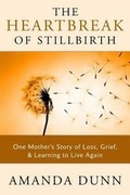 Cover: The Heartbreak of Stillbirth - Amanda Dunn