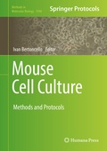 Bild: Mouse Cell Culture - Humana